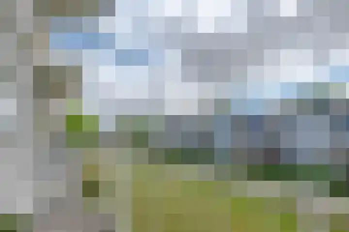 Kruisvoorde 74 Rotterdam thumbnail 17