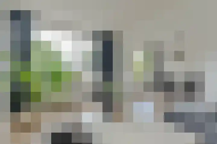 Kruisvoorde 74 Rotterdam thumbnail 29