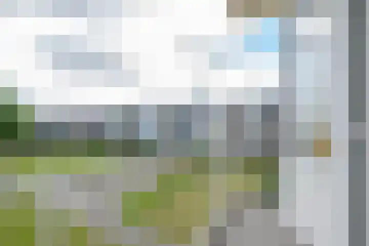 Kruisvoorde 74 Rotterdam thumbnail 4