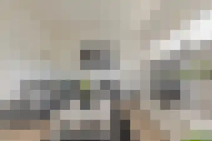 Kruisvoorde 74 Rotterdam thumbnail 8