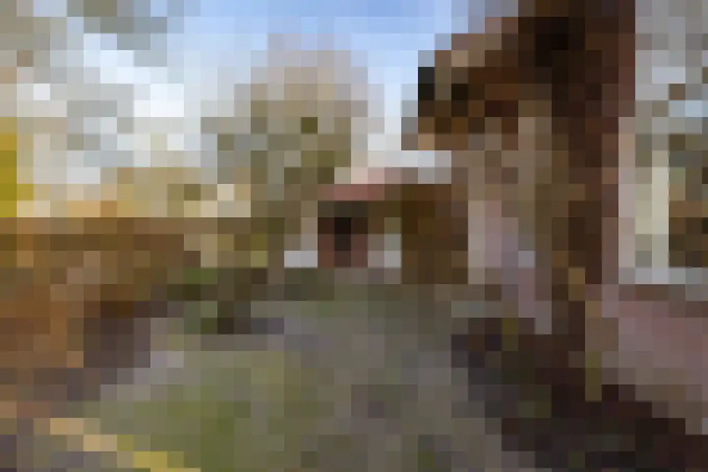 Kruiswater 8 Sneek thumbnail 11