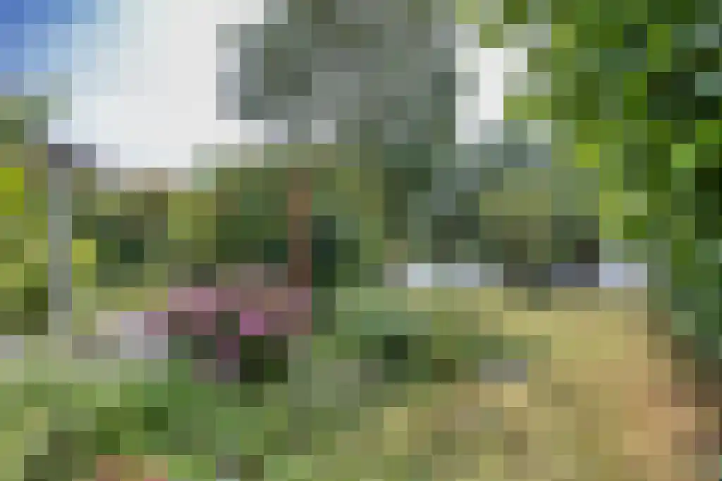 Kruiswater 8 Sneek thumbnail 12