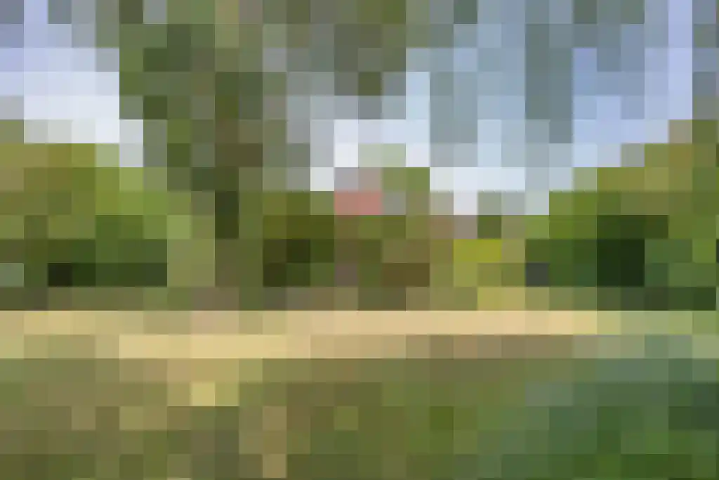 Kruiswater 8 Sneek thumbnail 16