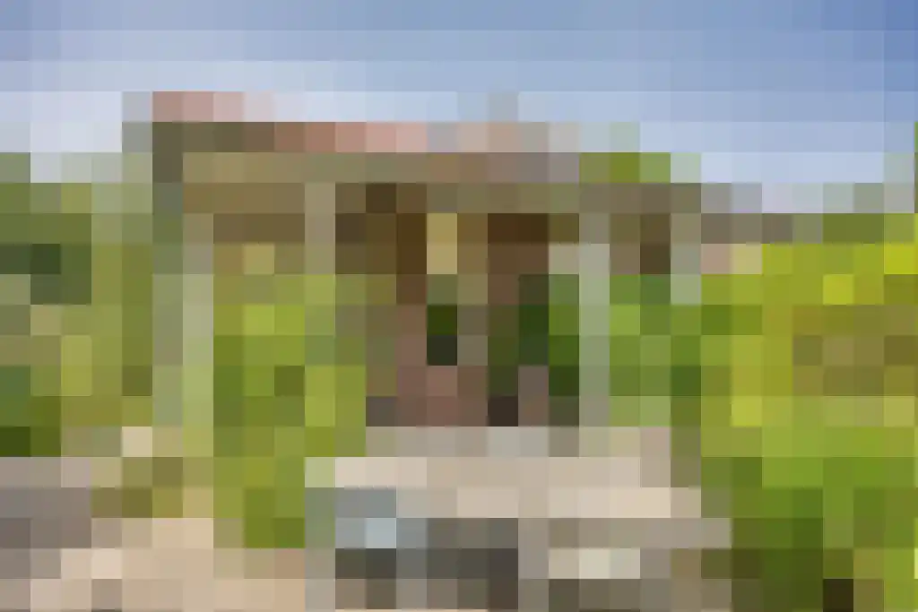 Kruiswater 8 Sneek thumbnail 17