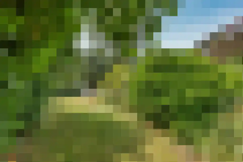 Kruiswater 8 Sneek thumbnail 20