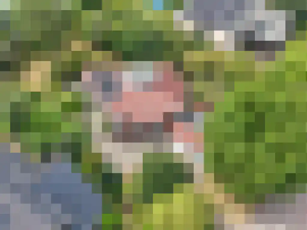 Kruiswater 8 Sneek thumbnail 24