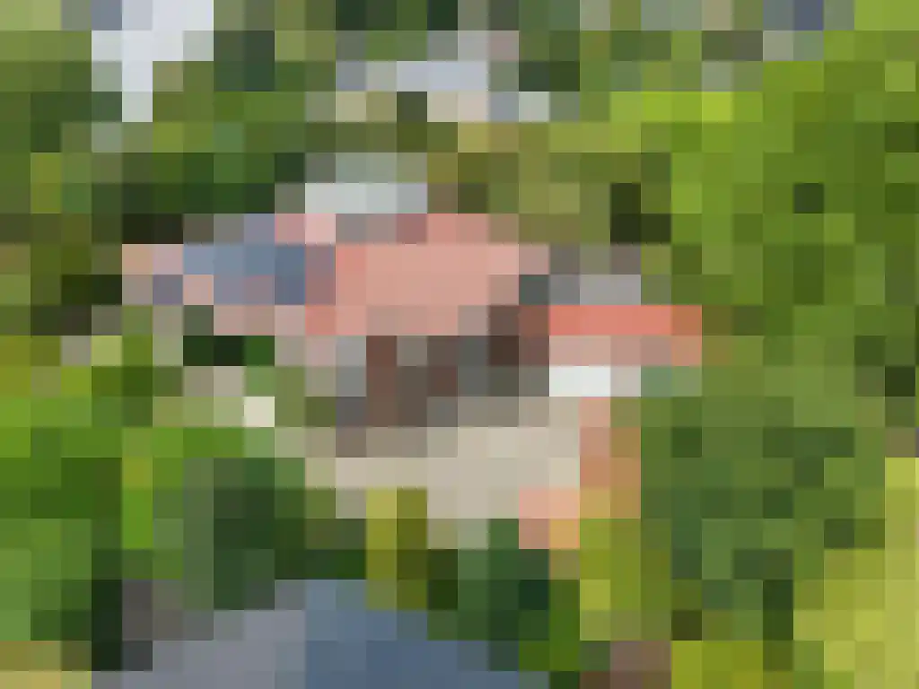 Kruiswater 8 Sneek thumbnail 25