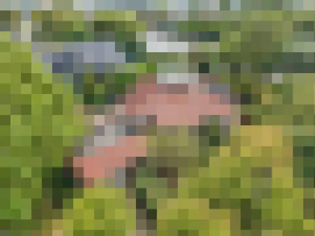 Kruiswater 8 Sneek thumbnail 26
