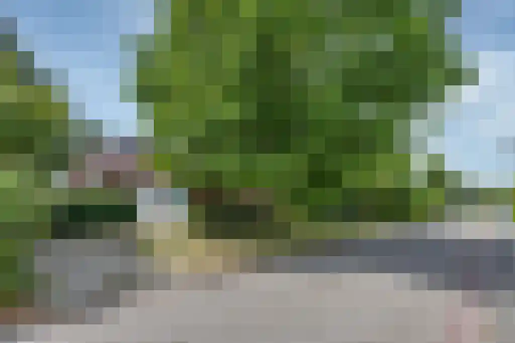Kruiswater 8 Sneek thumbnail 28