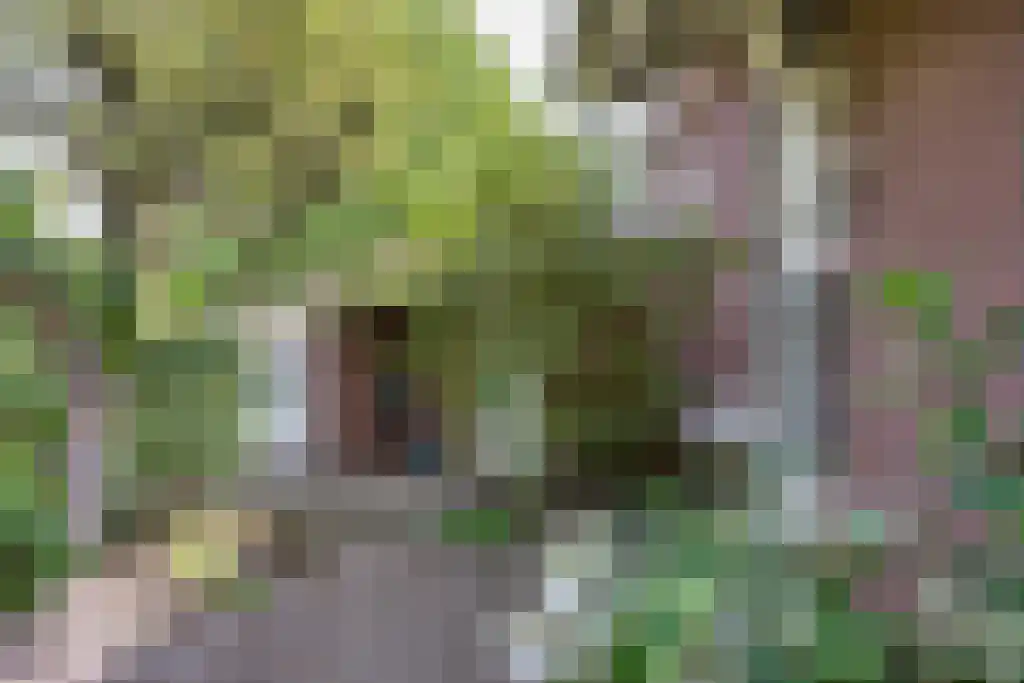 Kruiswater 8 Sneek thumbnail 31