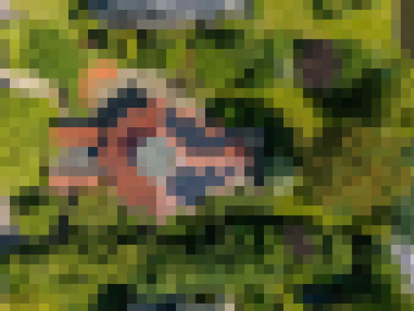 Kruiswater 8 Sneek thumbnail 5