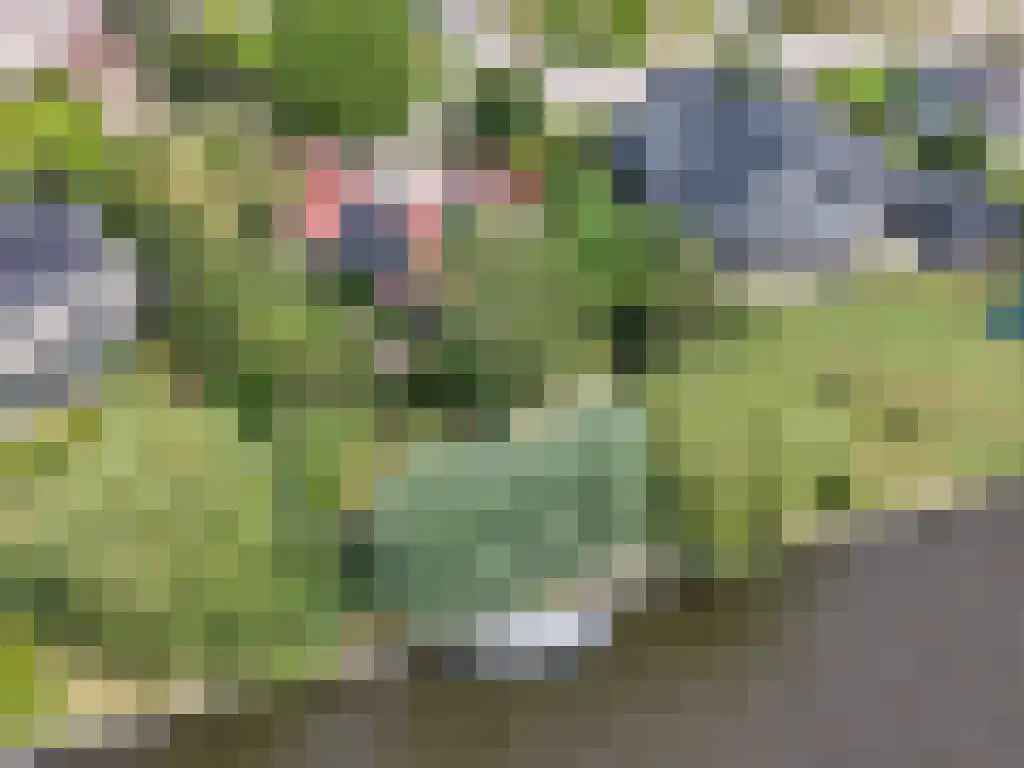 Kruiswater 8 Sneek thumbnail 5