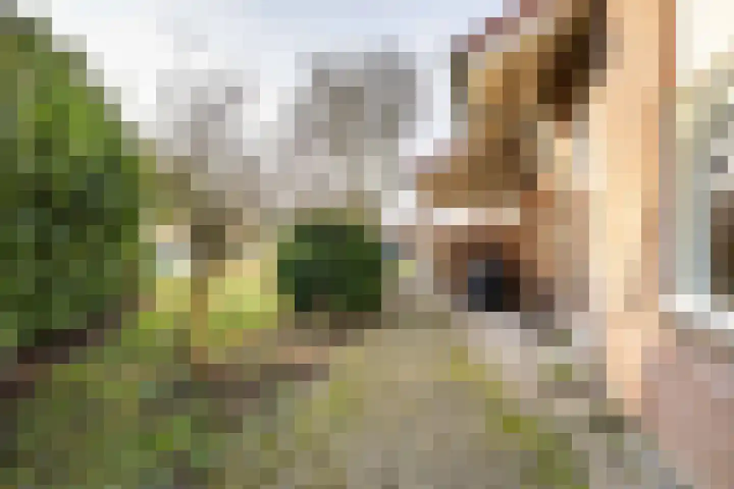 Kruiswater 8 Sneek thumbnail 52