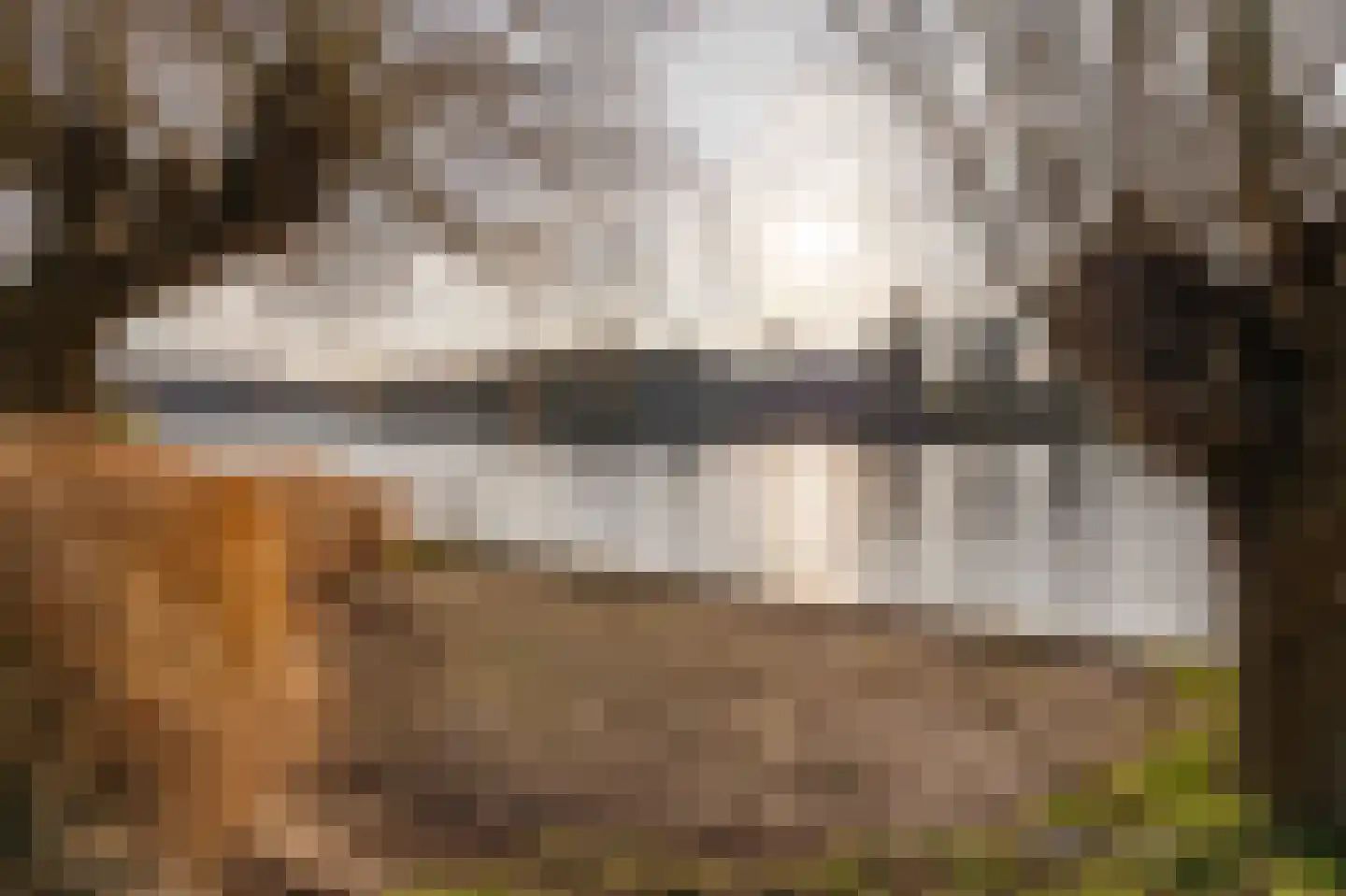 Kruiswater 8 Sneek thumbnail 58