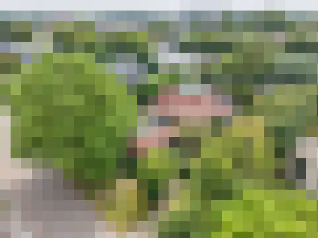 Kruiswater 8 Sneek thumbnail 6