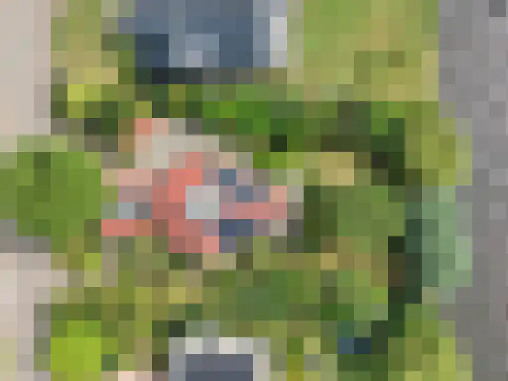 Kruiswater 8 Sneek thumbnail 8