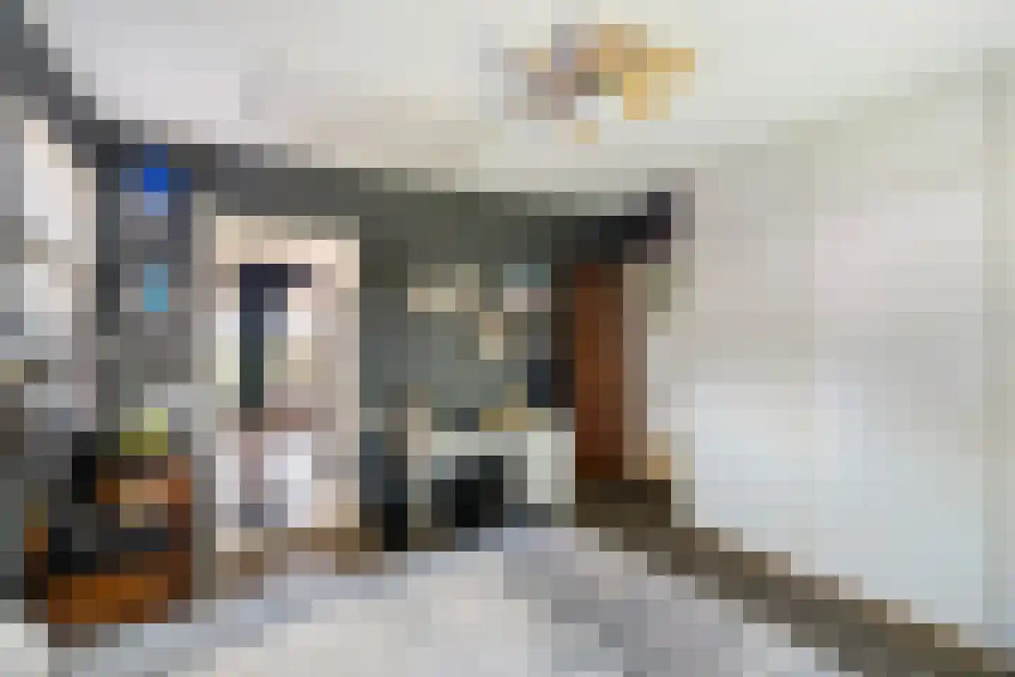 Kruisweg 11 Bleiswijk thumbnail 21