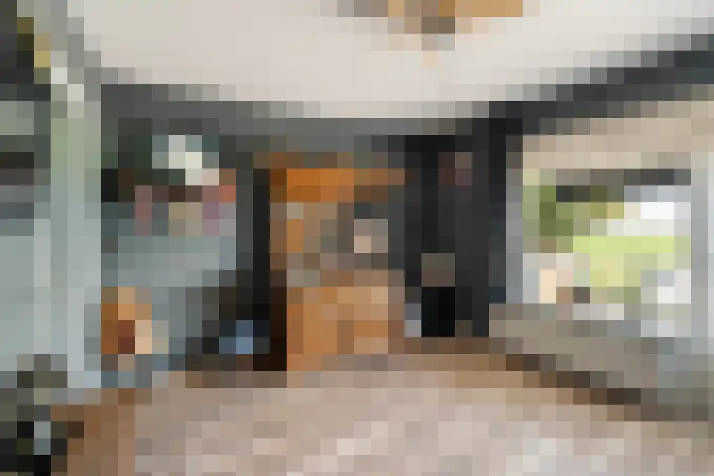 Kruisweg 11 Bleiswijk thumbnail 25