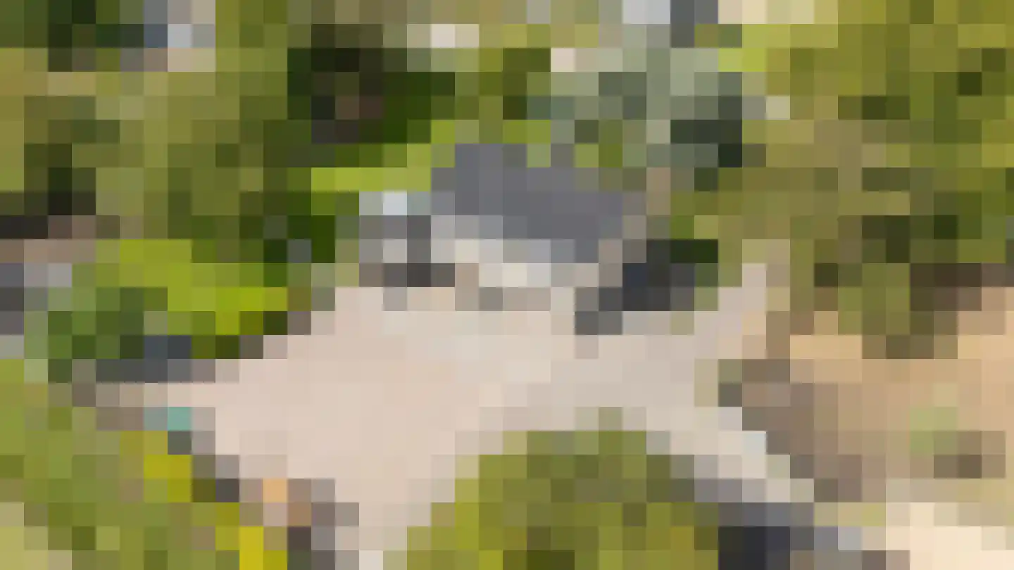 Kruisweg 11 Bleiswijk thumbnail 26