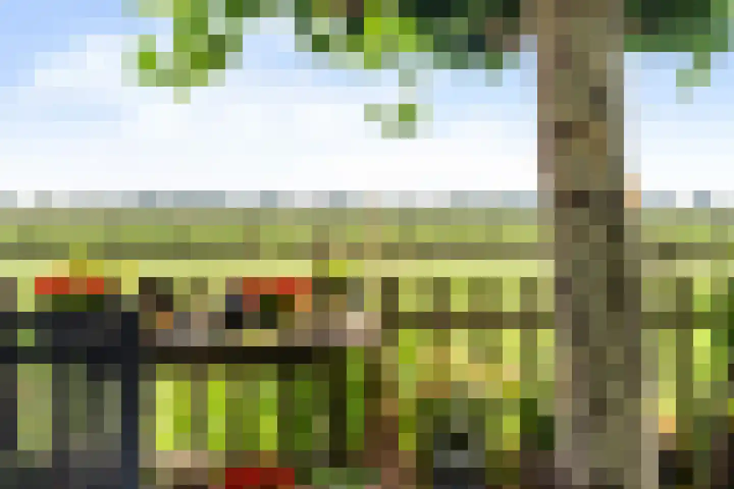 Kruisweg 11 Bleiswijk thumbnail 39