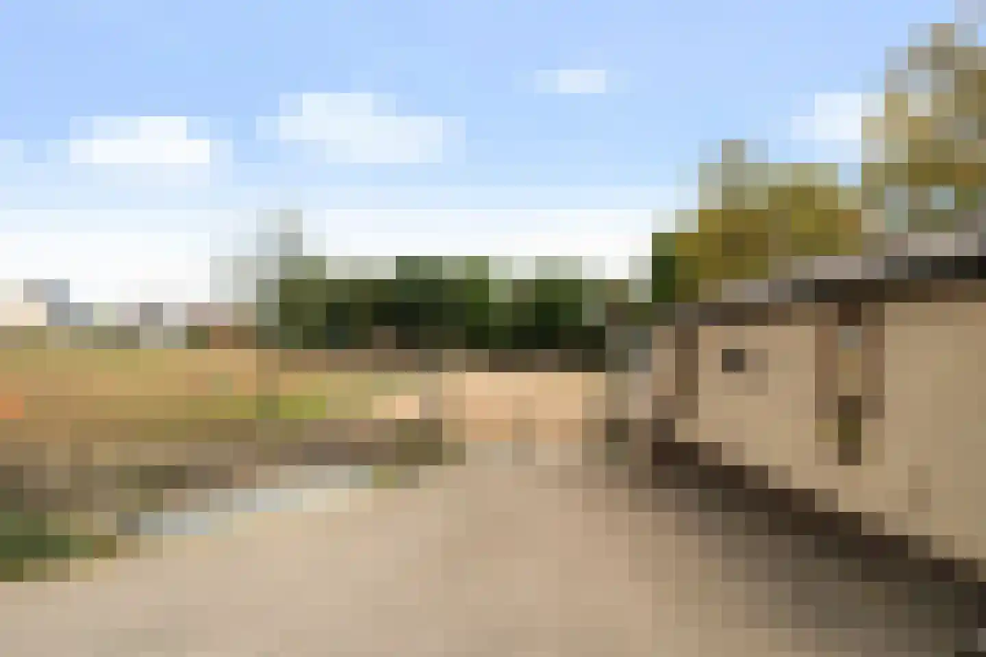 Kruisweg 11 Bleiswijk thumbnail 43