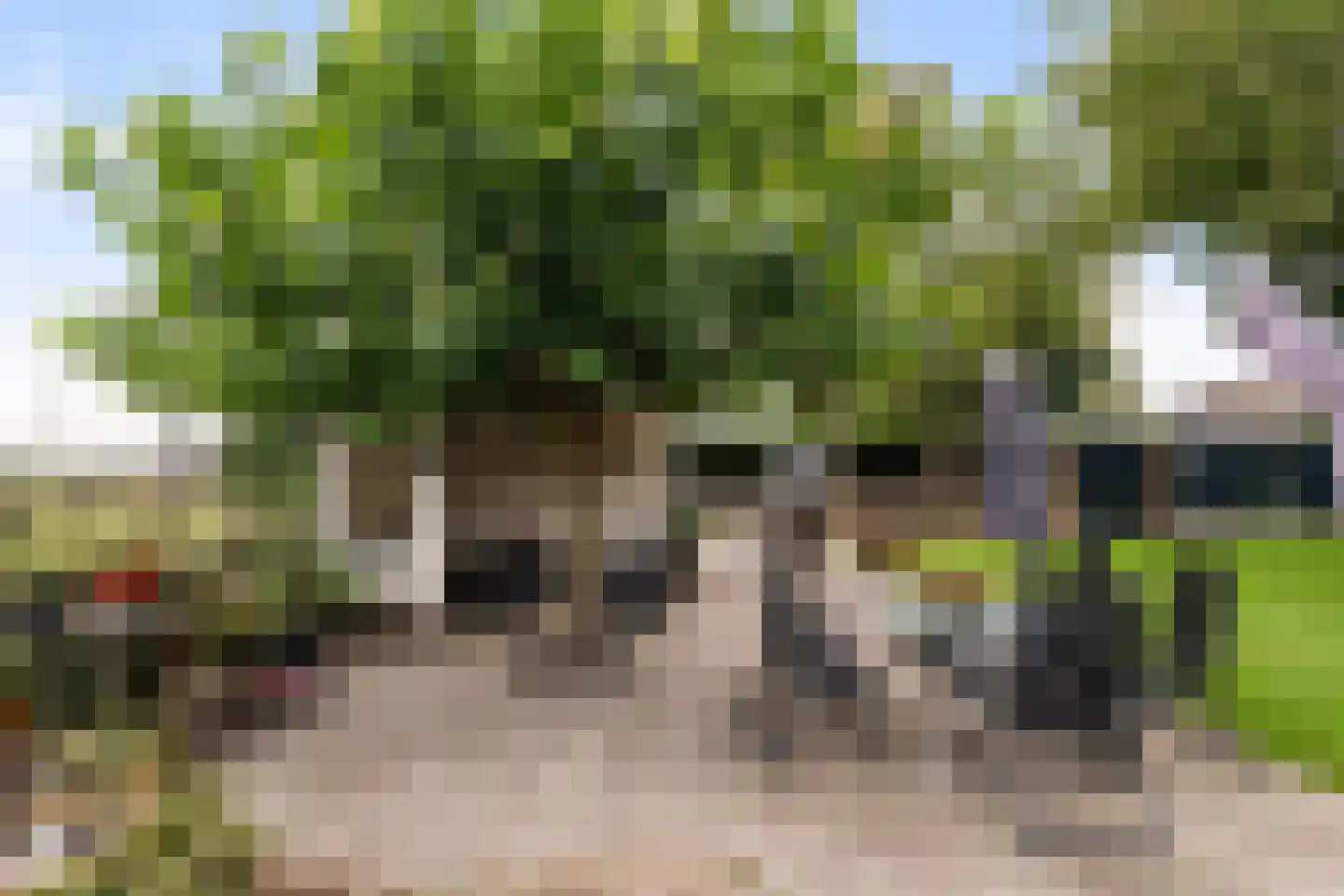 Kruisweg 11 Bleiswijk thumbnail 46