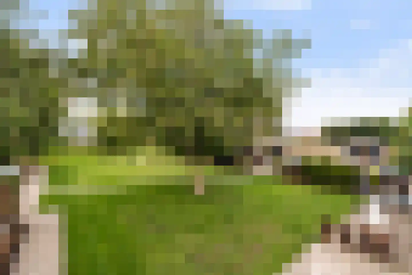 Kruisweg 11 Bleiswijk thumbnail 47