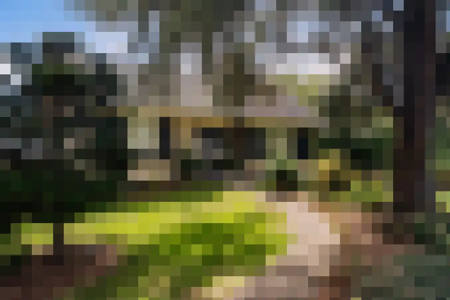 Kruisweg 11 Bleiswijk thumbnail 5