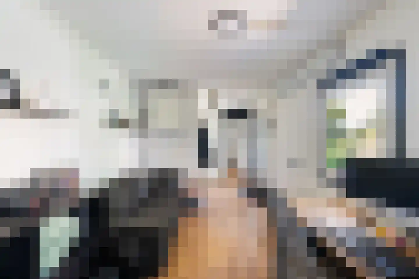 Kruisweg 11 Bleiswijk thumbnail 51