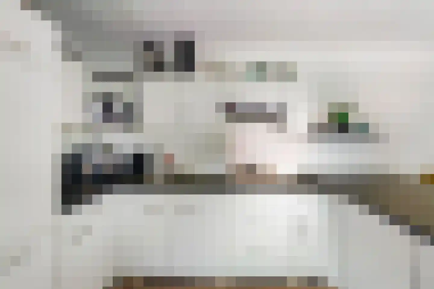 Kruisweg 11 Bleiswijk thumbnail 53