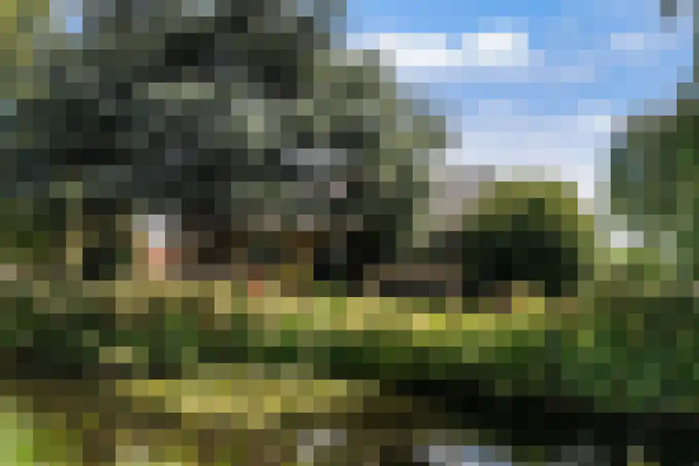 Kruisweg 11 Bleiswijk thumbnail 6