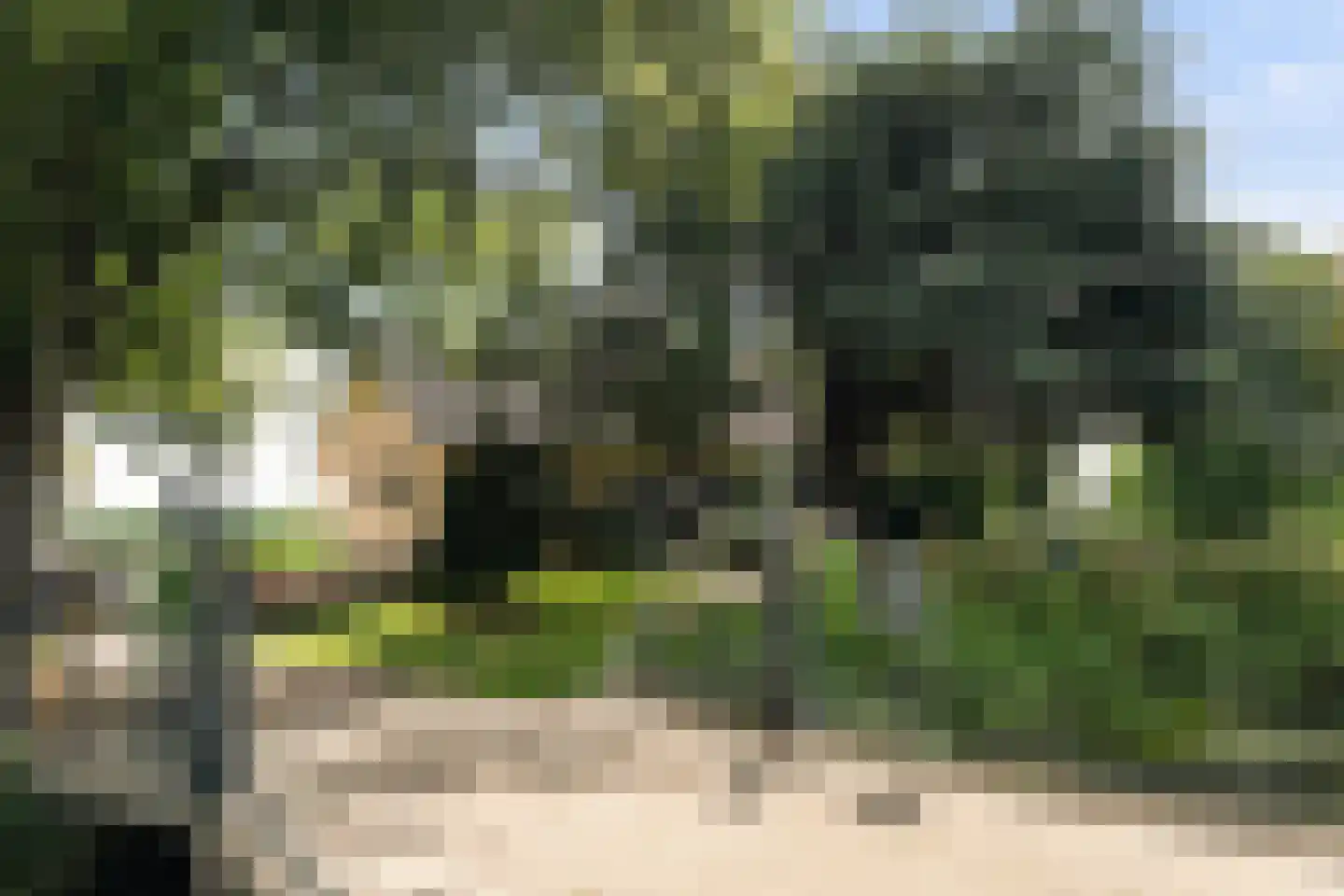 Kruisweg 11 Bleiswijk thumbnail 7