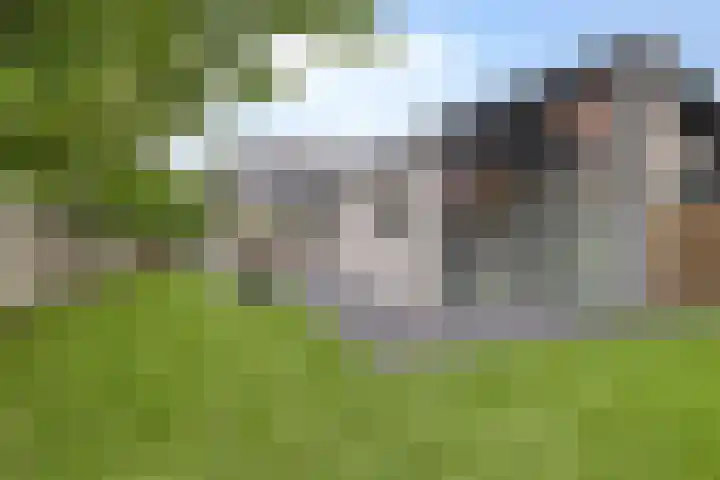 Kruisweg 1117 Hoofddorp thumbnail 30