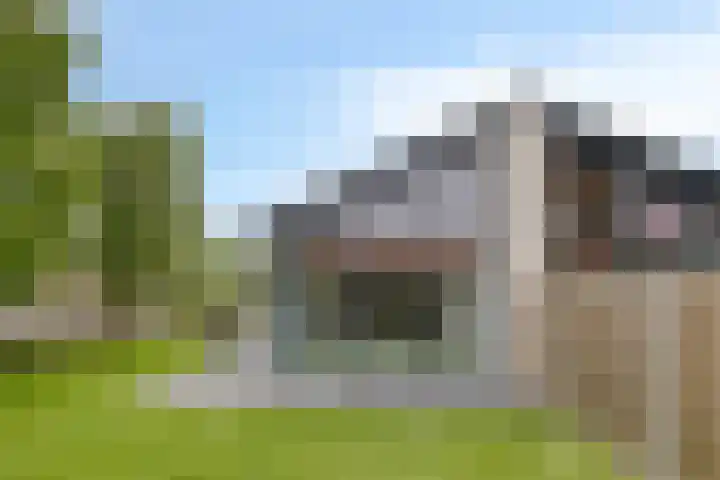 Kruisweg 1117 Hoofddorp thumbnail 31