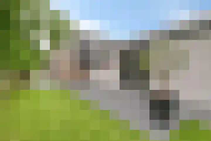 Kruisweg 1117 Hoofddorp thumbnail 34