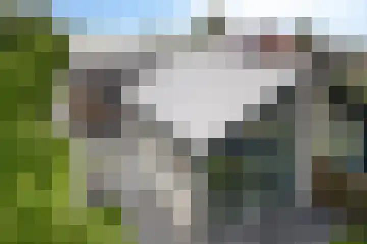 Kruisweg 1117 Hoofddorp thumbnail 37