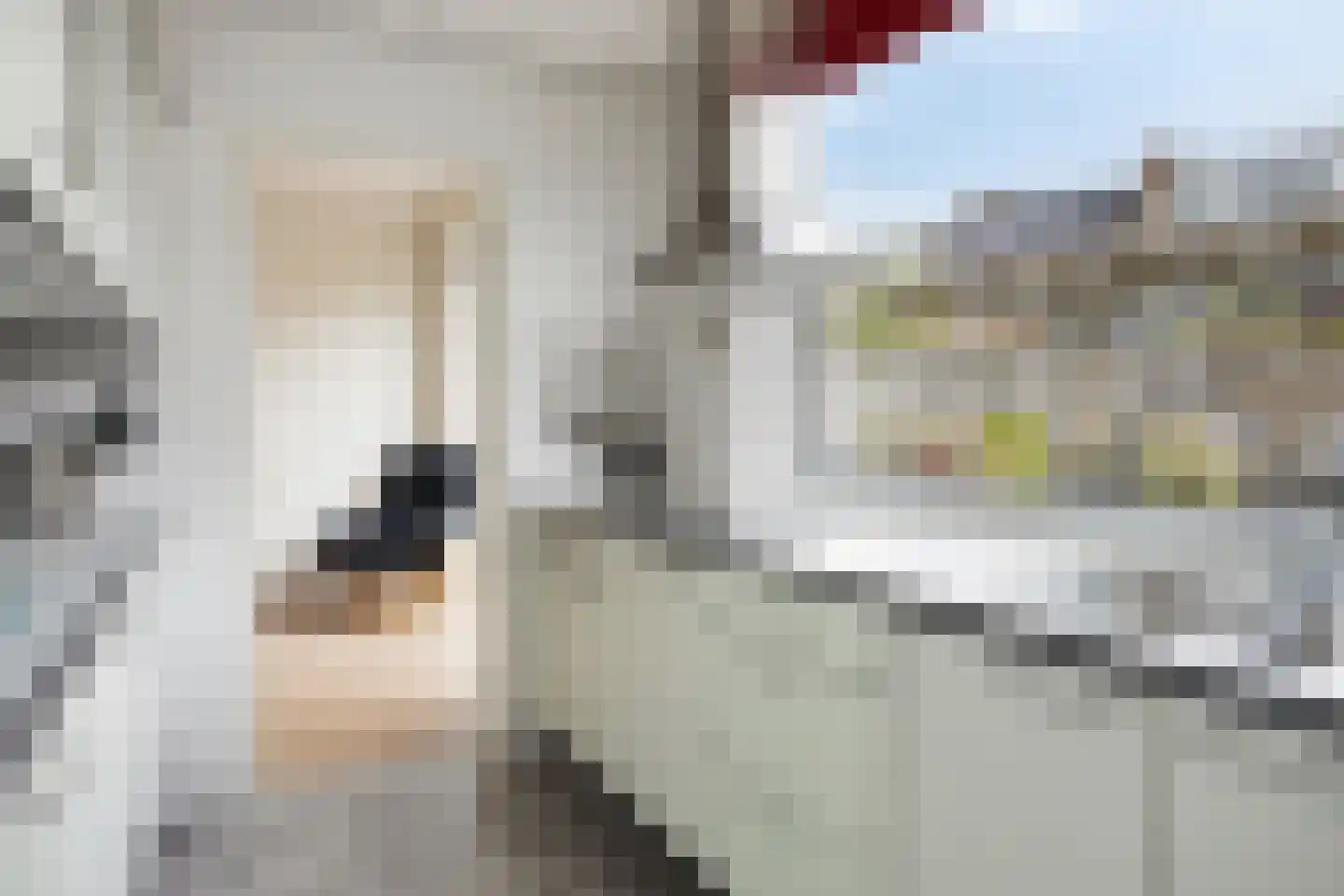 Kruisweg 12 Middelburg thumbnail 15