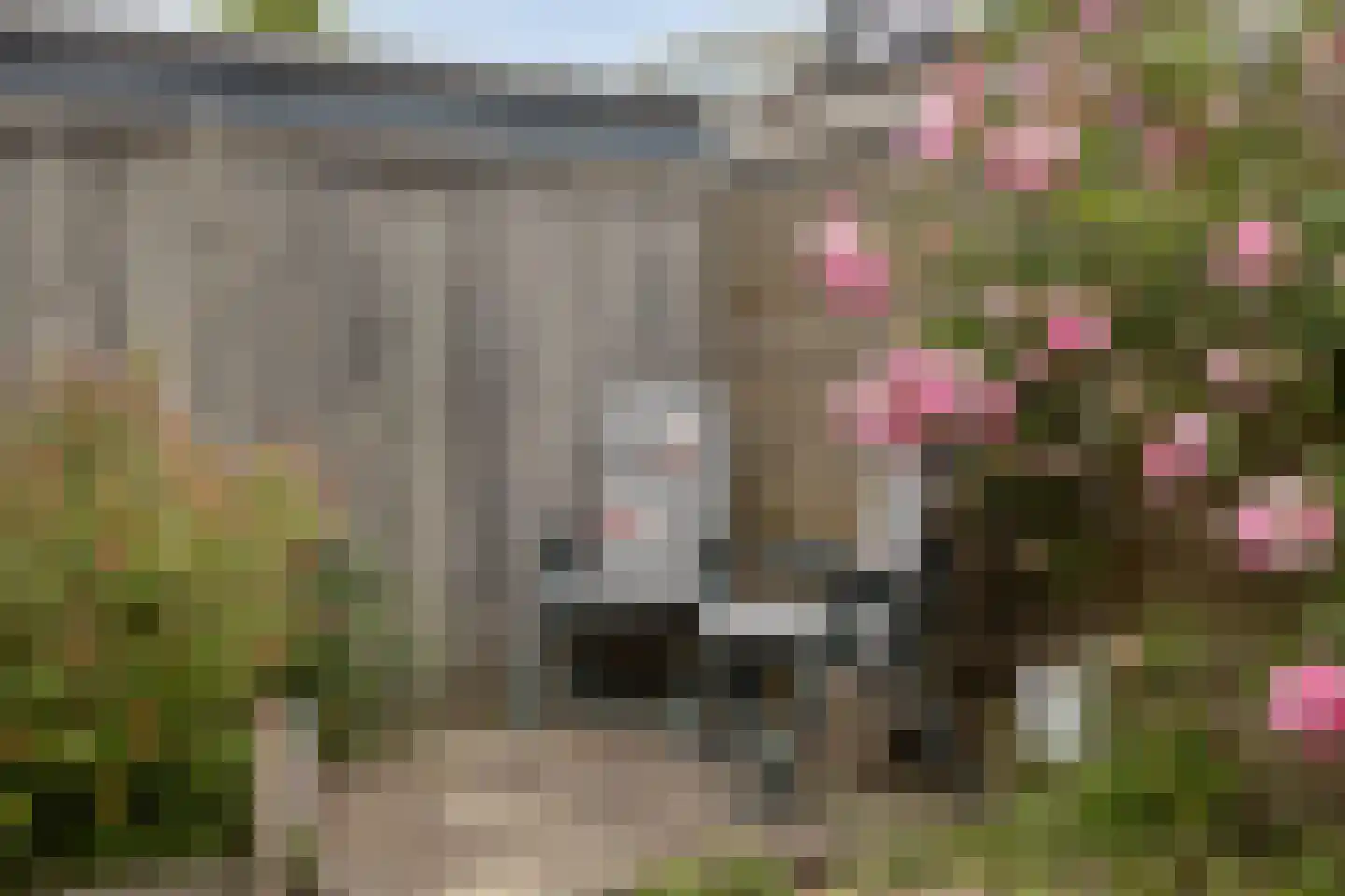 Kruisweg 12 Middelburg thumbnail 41