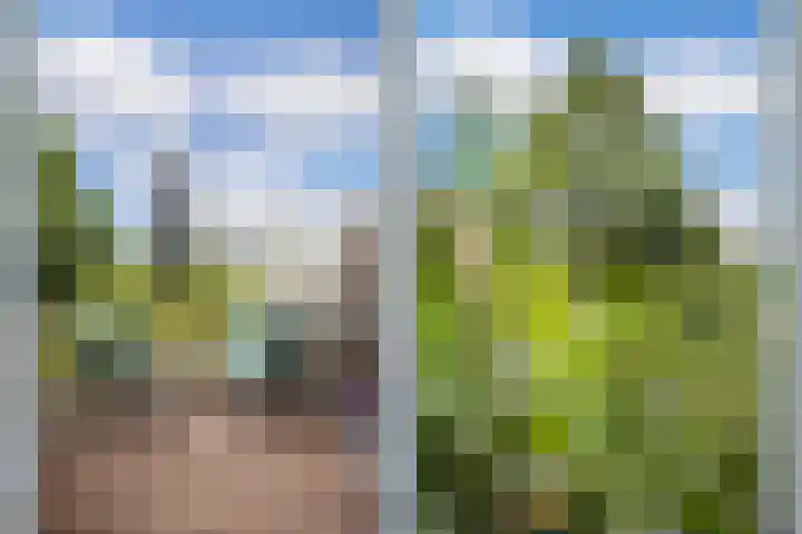 Kruisweg 14 BS Utrecht thumbnail 38