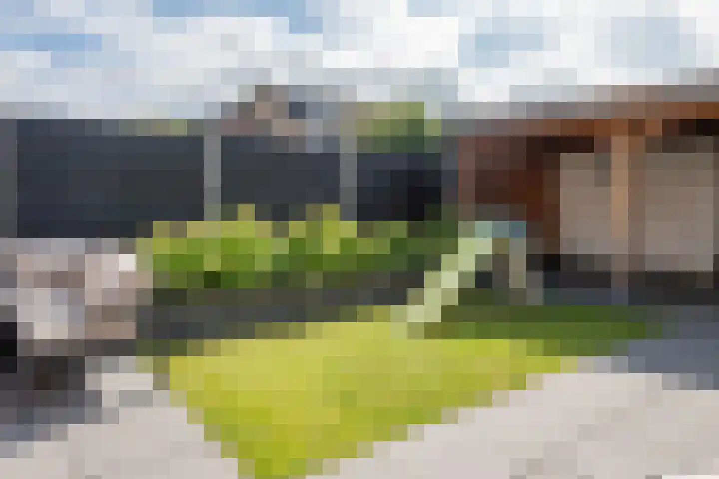 Kruisweg 17 Elburg thumbnail 35