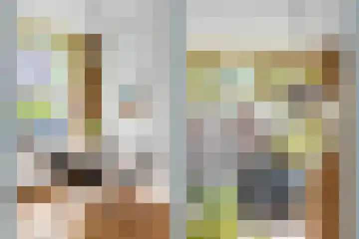 Kruisweg 17 Utrecht thumbnail 13