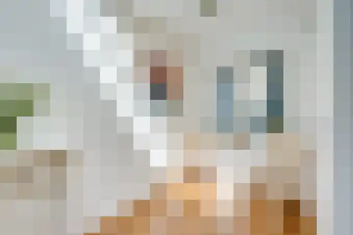 Kruisweg 17 Utrecht thumbnail 19