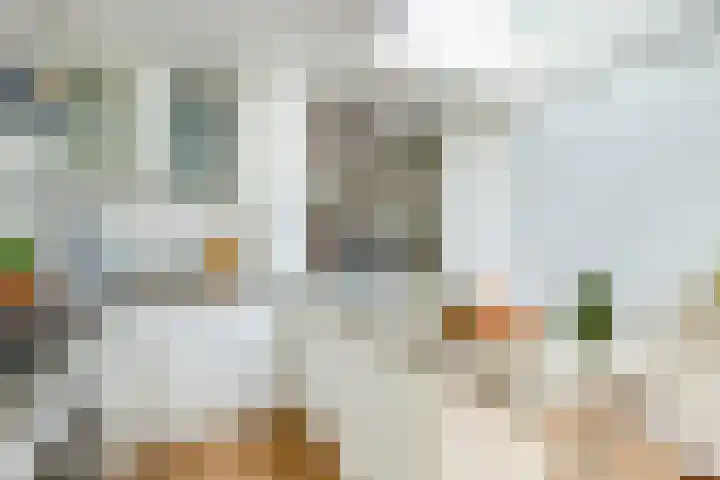 Kruisweg 17 Utrecht thumbnail 22