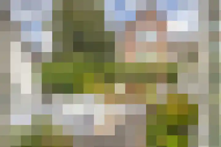 Kruisweg 17 Utrecht thumbnail 28