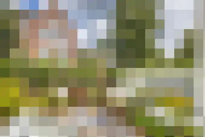 Kruisweg 17 Utrecht thumbnail 29