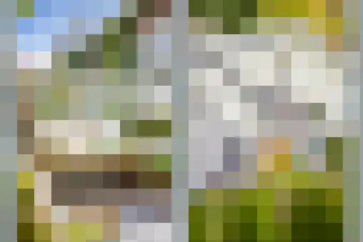 Kruisweg 17 Utrecht thumbnail 30