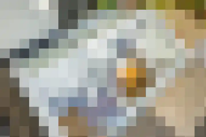 Kruisweg 17 Utrecht thumbnail 32