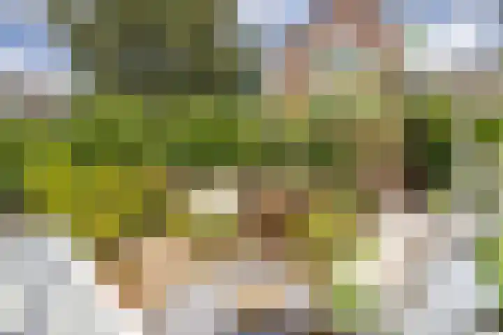 Kruisweg 17 Utrecht thumbnail 5