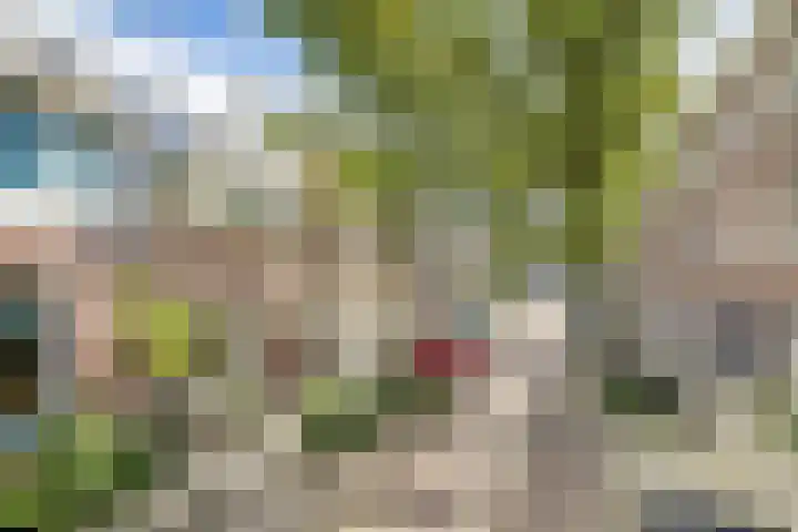 Kruisweg 17 Utrecht thumbnail 7
