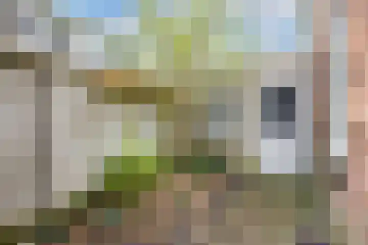 Kruisweg 18 Utrecht thumbnail 19